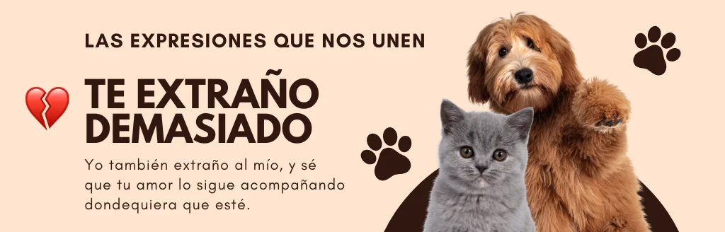 Banner Slide 01 V3