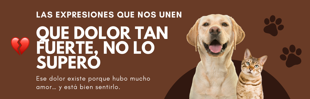 Banner Slide 02 V3
